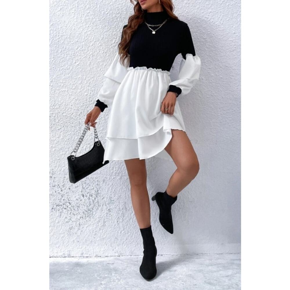 LUNE  NWOT Two-Tone Bishop Sleeve High Neck Dress –  Size XS